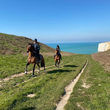 Bed and Breakfast Domaine Equestre Etretat Le Tilleul Zewnętrze zdjęcie