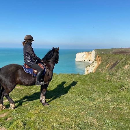 Bed and Breakfast Domaine Equestre Etretat Le Tilleul Zewnętrze zdjęcie