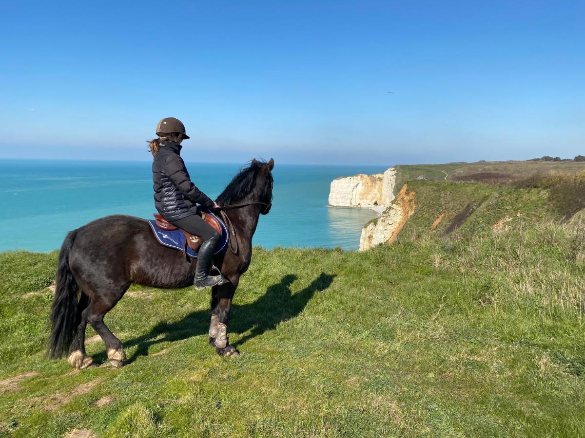 Bed and Breakfast Domaine Equestre Etretat Le Tilleul Zewnętrze zdjęcie